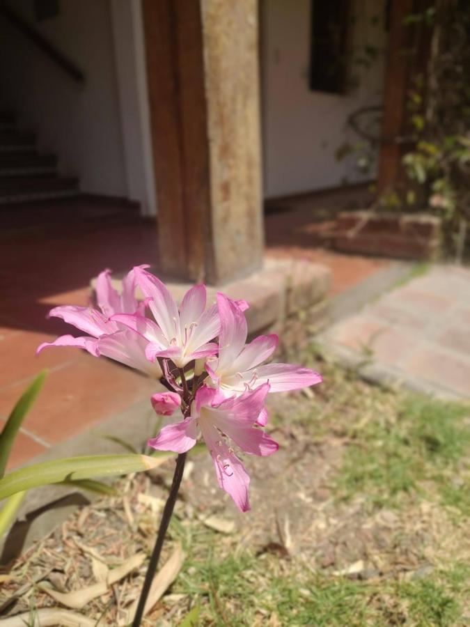 Hotel El Patio De Monterrey 와라스 외부 사진