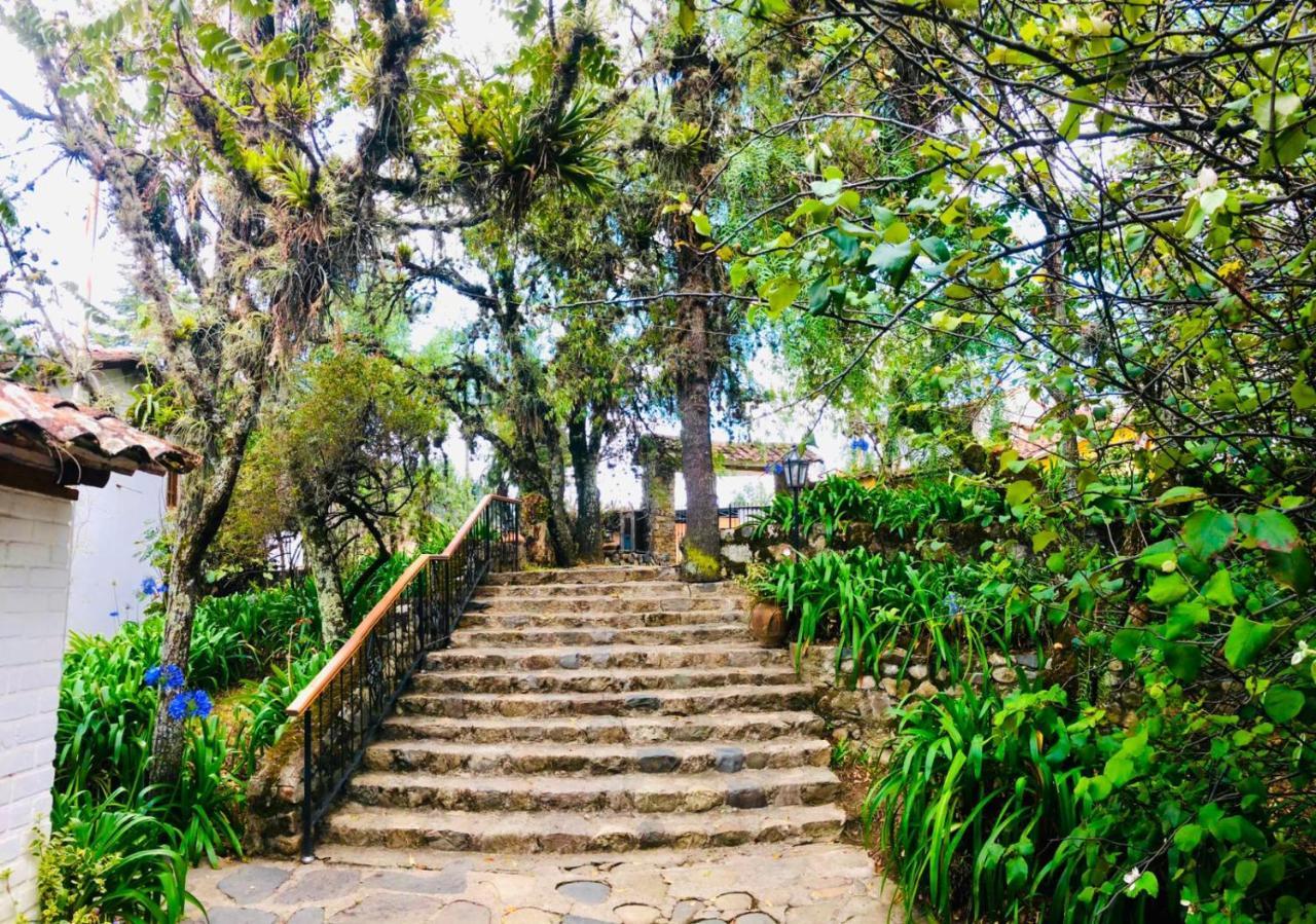 Hotel El Patio De Monterrey 와라스 외부 사진